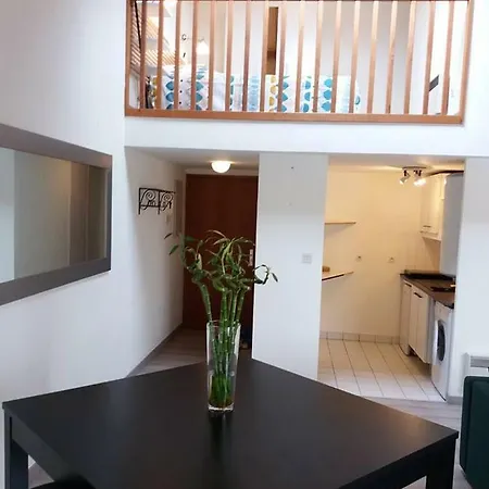 Duplex Proche Centre-ville Apartman *